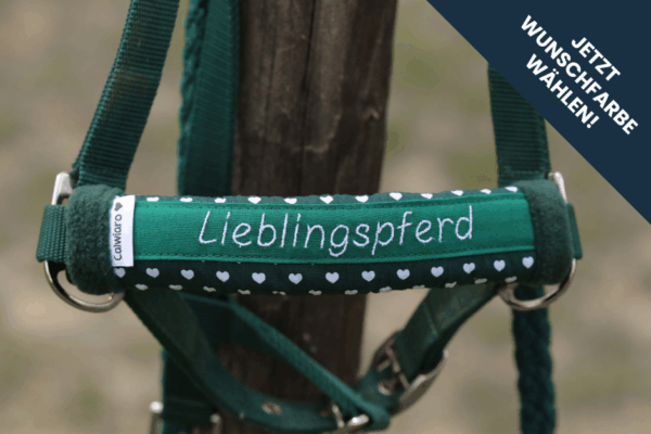 geschenkidee für reiter