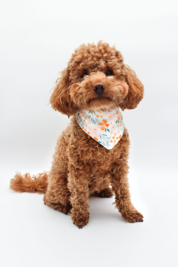 Hundehalstuch Four Seasons – Bild 4