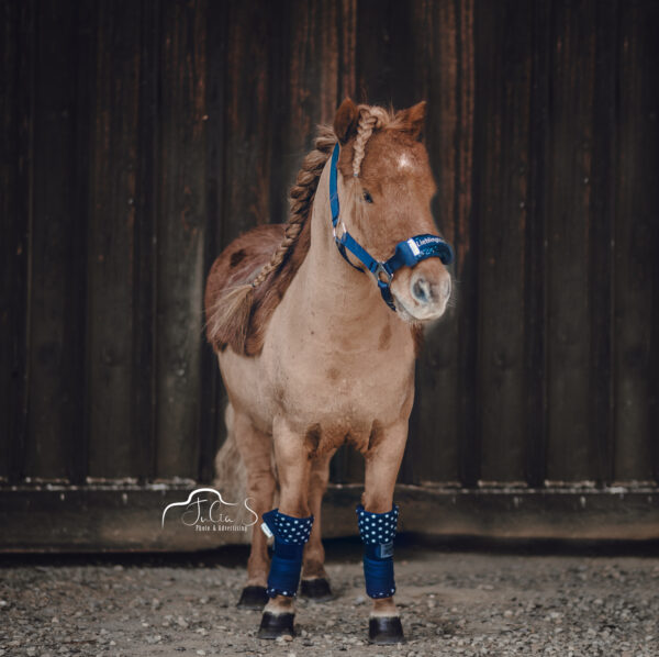 Noseband Mayfare Blau – Bild 4