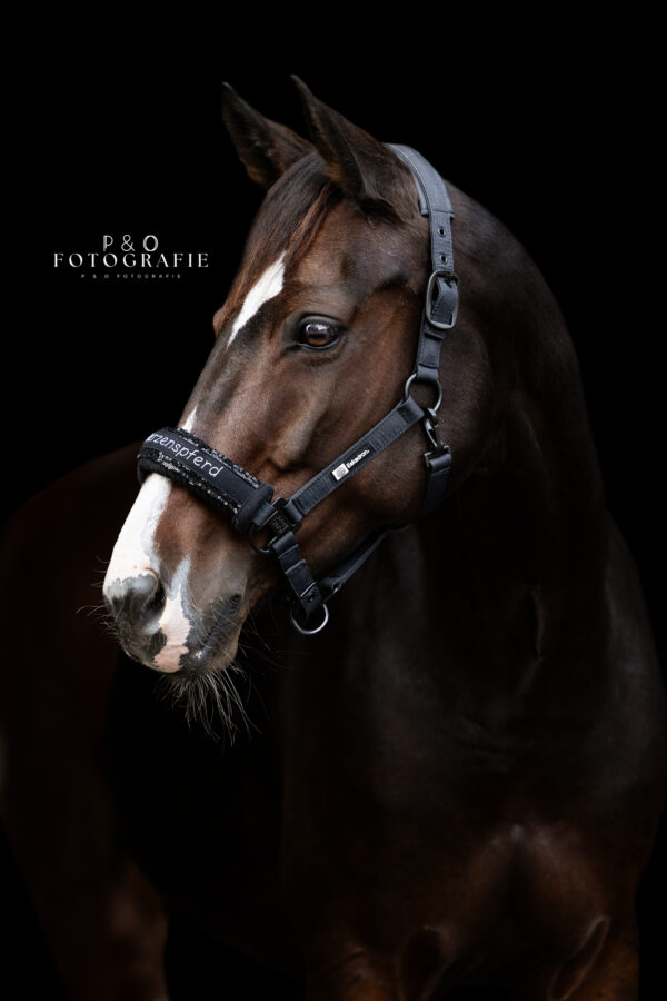 Noseband Mayfare Schwarz – Bild 5