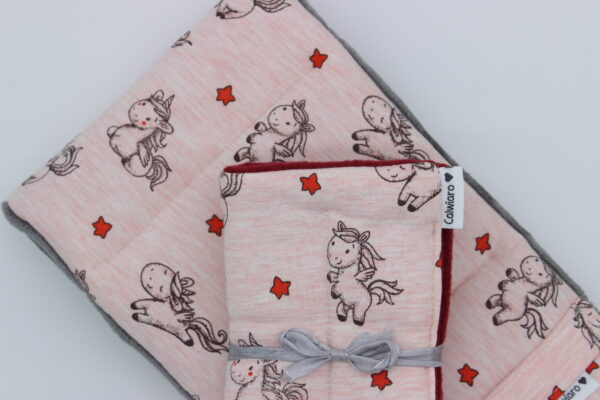 Mini Shetty Longierset - SUPER SALE – Bild 2